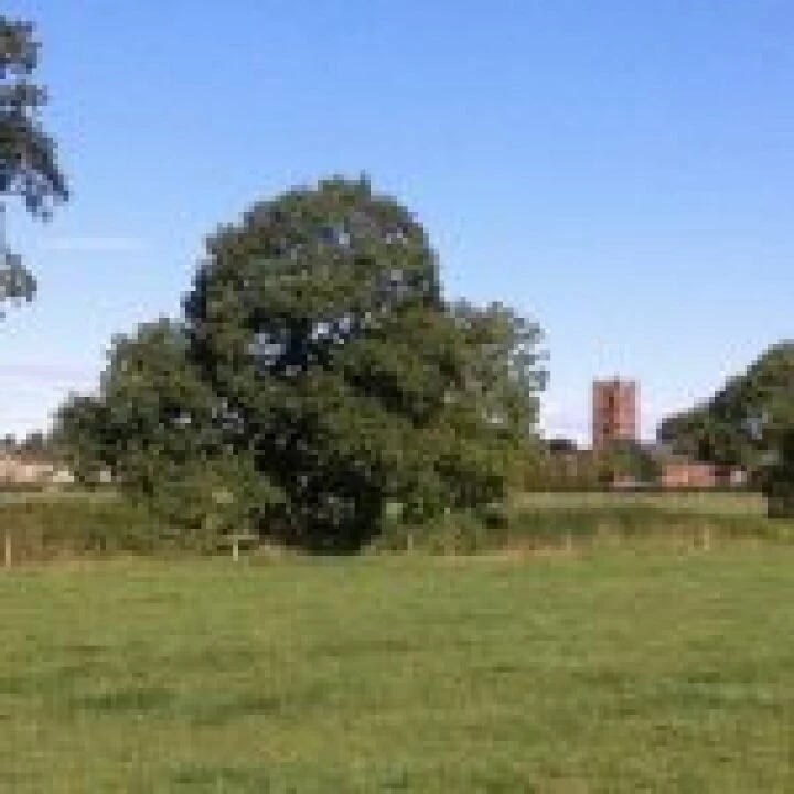 Parish Church