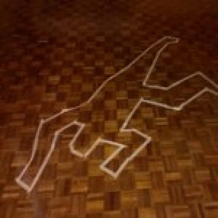 Murder Mystery 2
