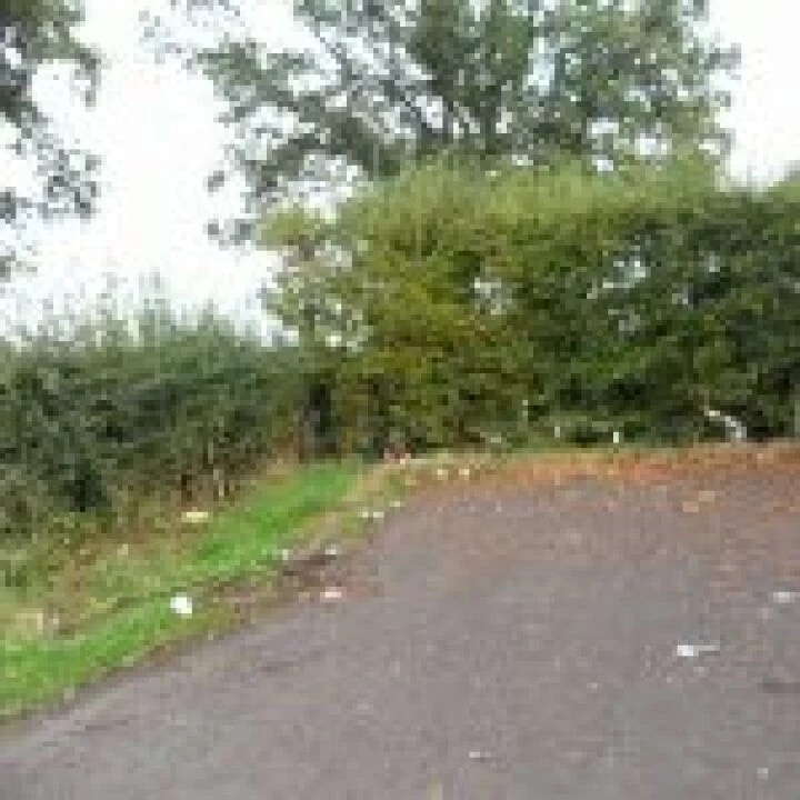 Rubbish Broomheath Lane