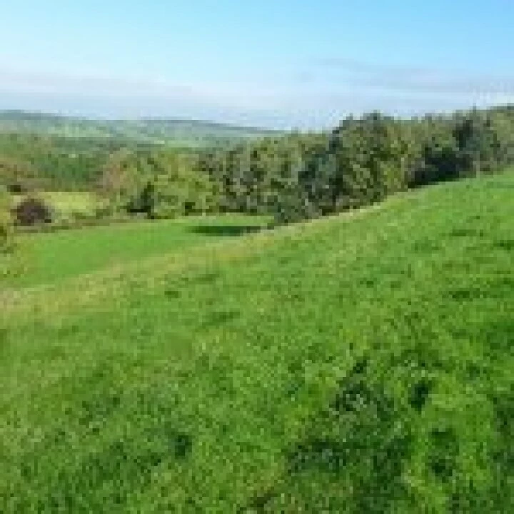 walk dodds (2)