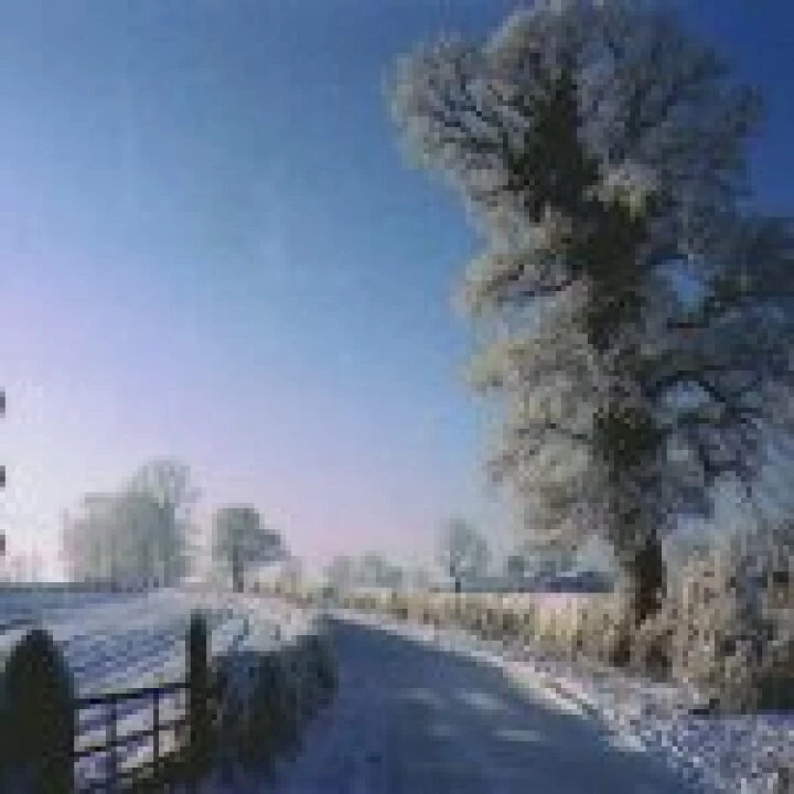 Tarvinwinter