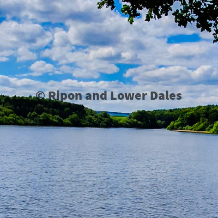 Reservoir