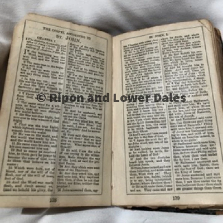 Bible IP