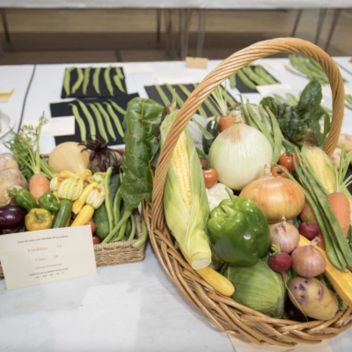 Horticultural Show_Autumn 02