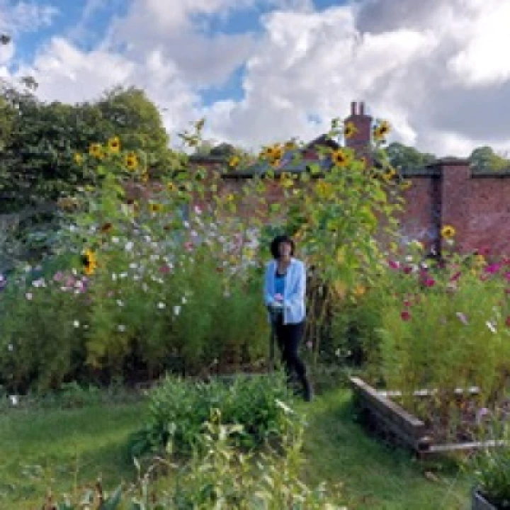 Lloyds Flower farm