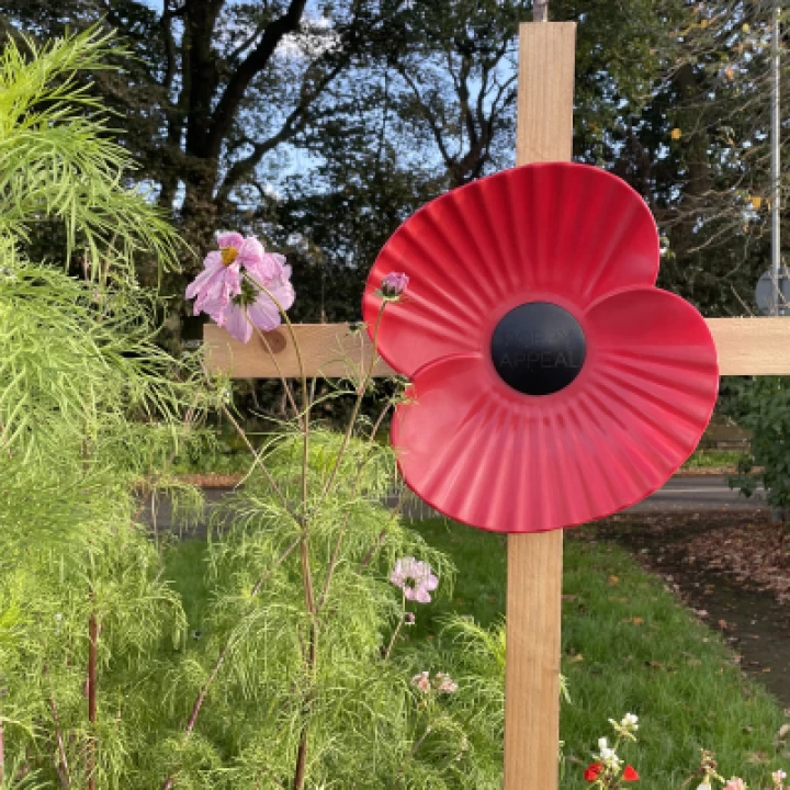 Poppy and cross