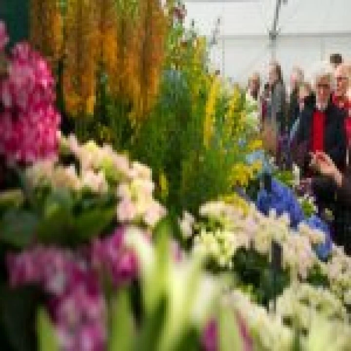 RHS_MAR0012612