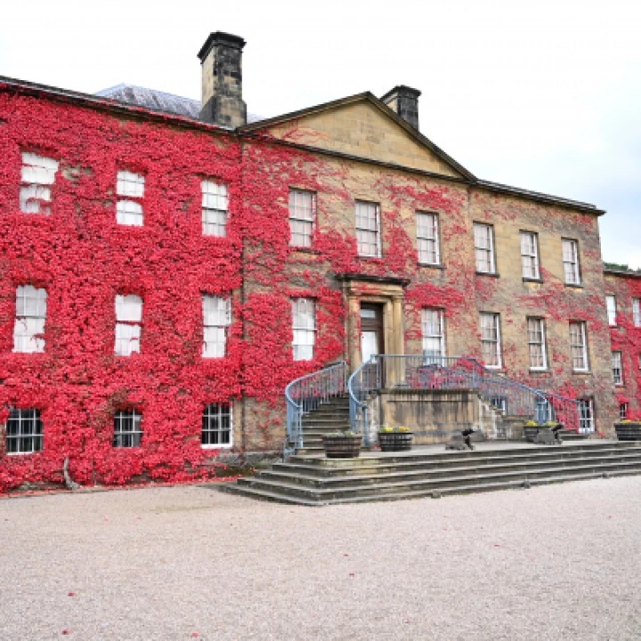 Erdigg House