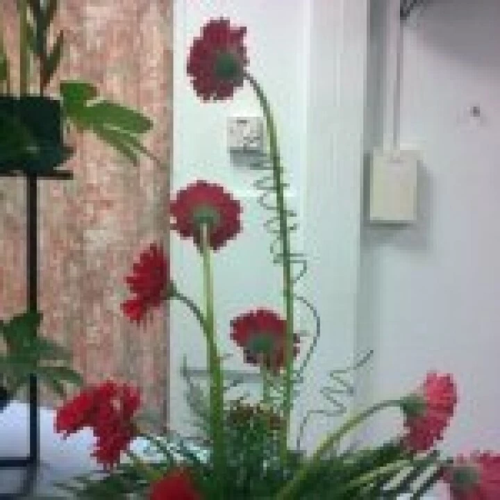 Flower Club Sept2