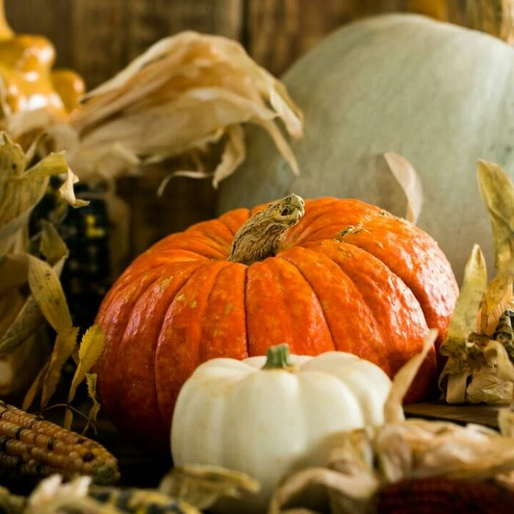 White And Orange Pumpkins On Table