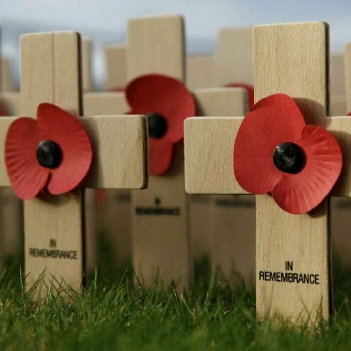 Remembrance Poppies