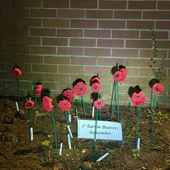 Remembrance Poppies At The Scout Hut X2