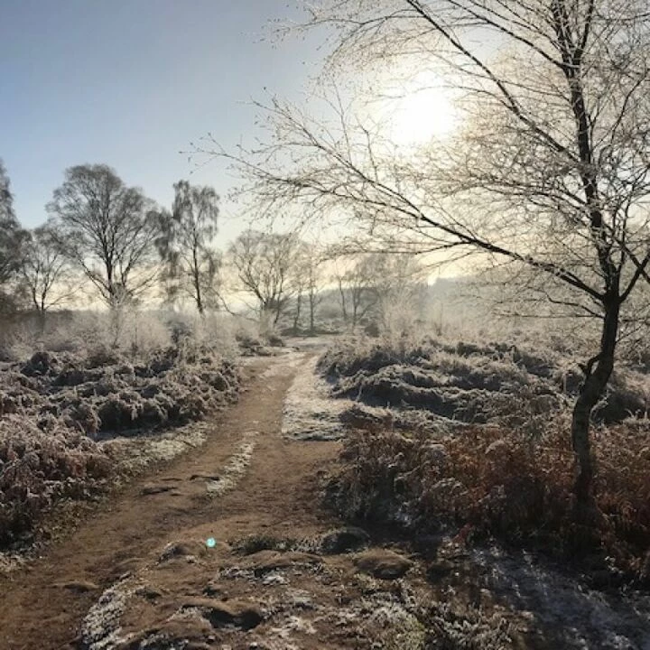 Bickerton Hill