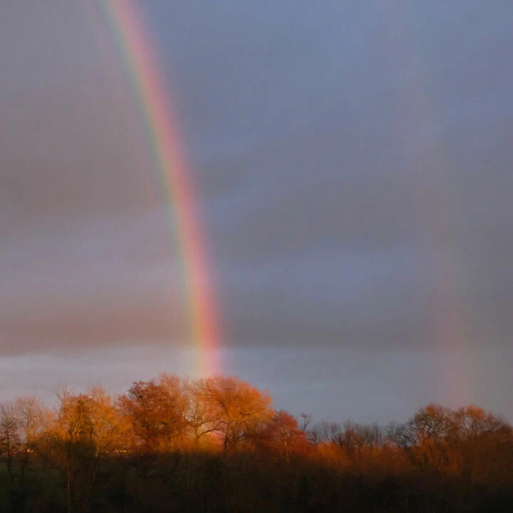 RR Pot of Gold F6973