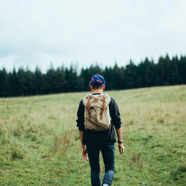 Hiker, trekking, travel, adventure, activity, nature, backpack, person, sport, forest, outdoor, journey, trek, walk, young, guy, walking, grass, field, trees, jeans, sweater, hat, hiker, hiker, hiker, hiker, hiker