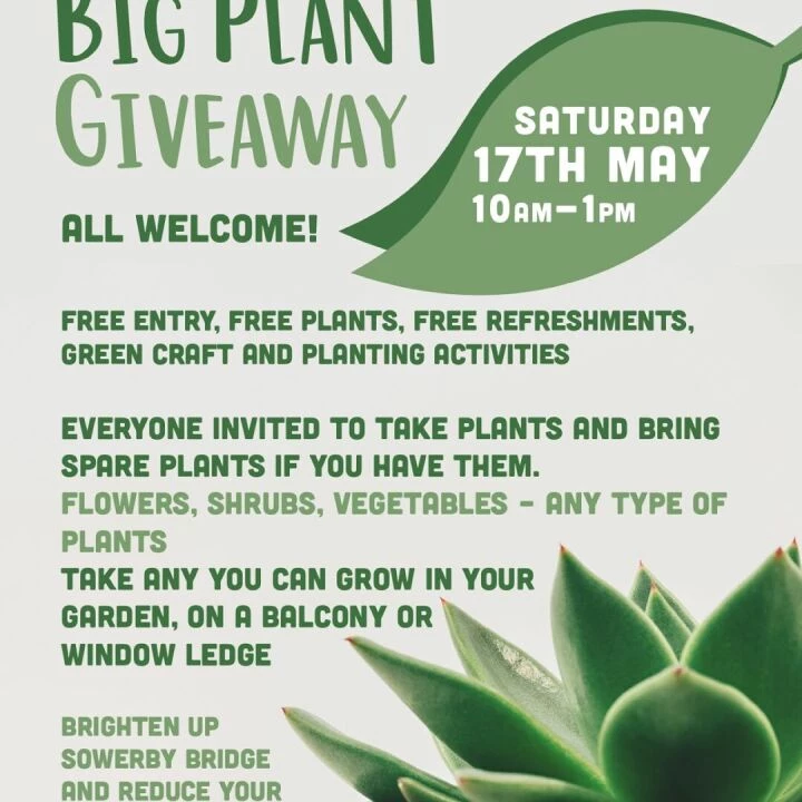 Big Plant Giveaway 2025