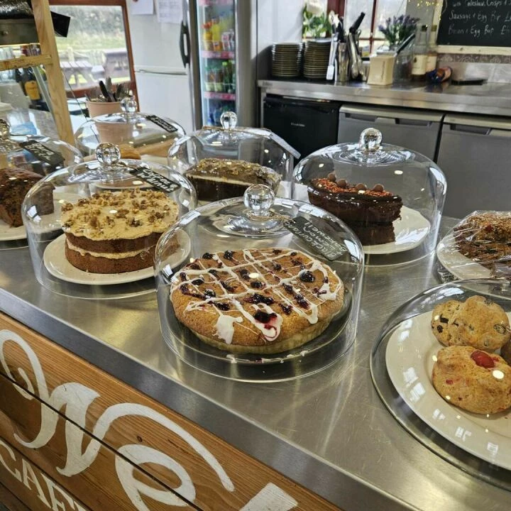 Cakes