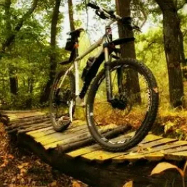 bike track