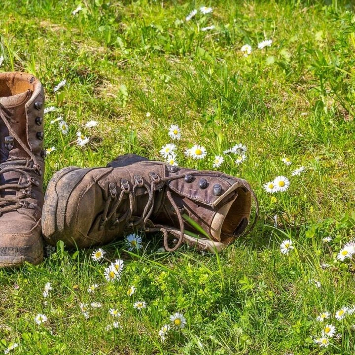 Hike, shoes, nature, walking boots, outdoor, alpine boots, walking boots, walking boots, walking boots, walking boots, walking boots