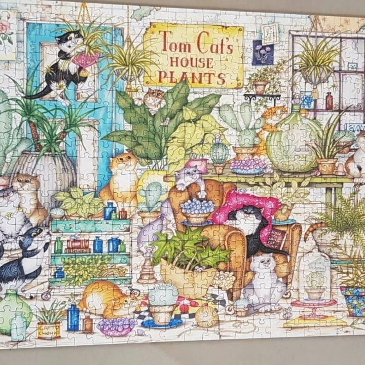 Jigsaw puzzle