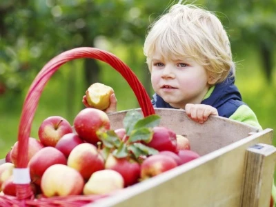 child with apples