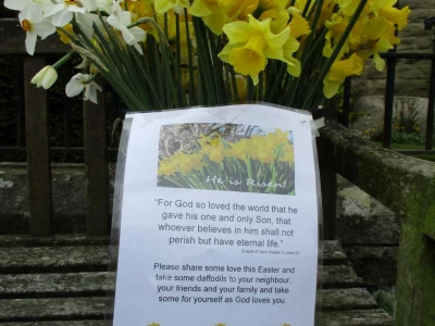 Daffodils outside church