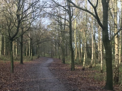 Woodlands – Grogans Walk Dec2020 2