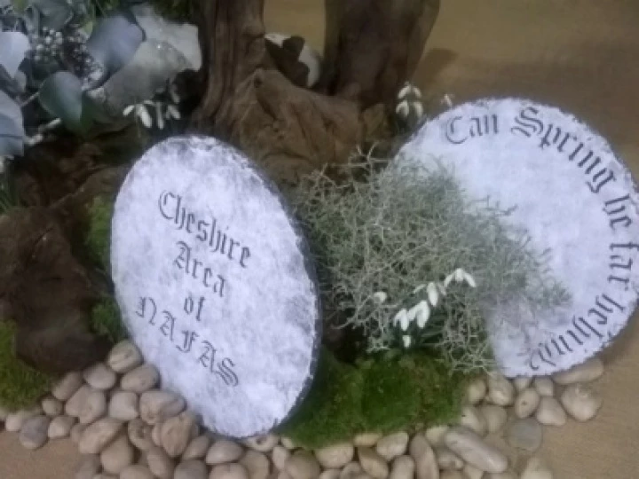 Chester Display