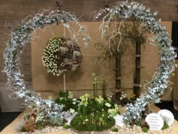Display 1