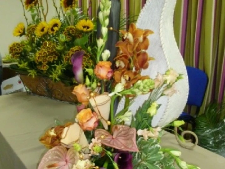 P1020908