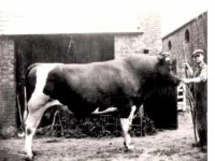 Tarvin People