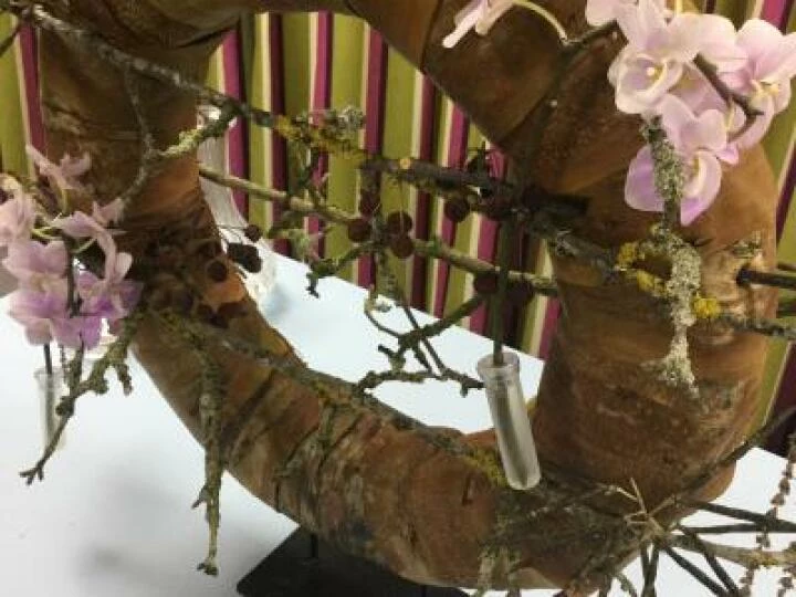 Flower Club May 2019 Image2 (8)