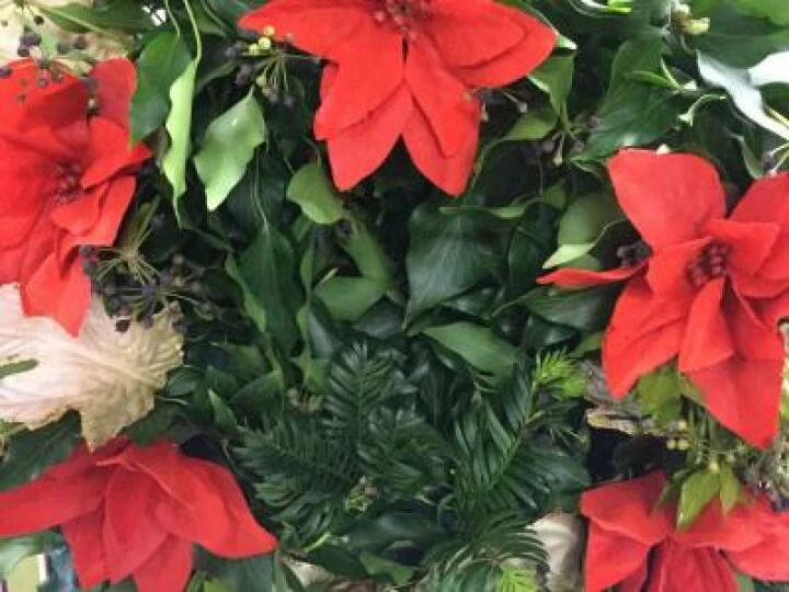 Flower Club May 2019 Image3 (6)