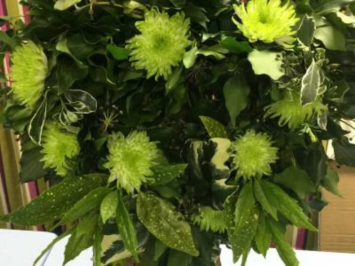Flower Club May 2019 Image3 (5)