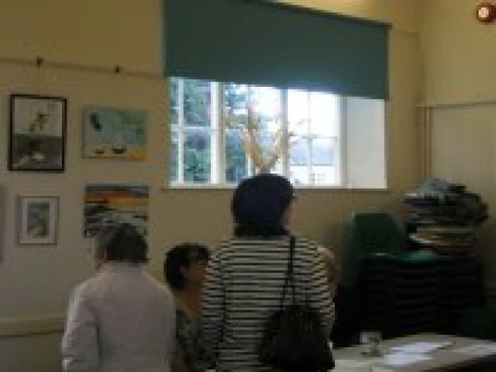 Art 1