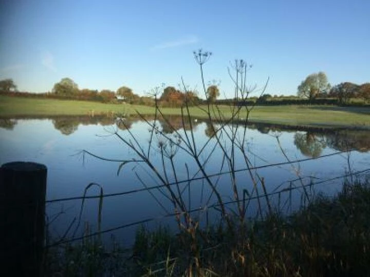 Flood (2)