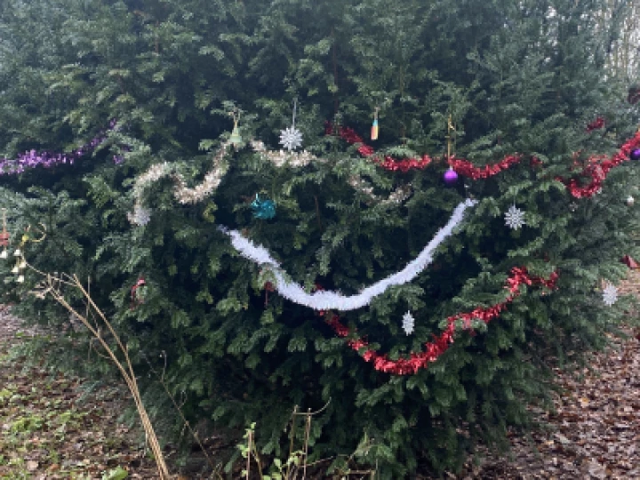 TWT Christmas tree 2021