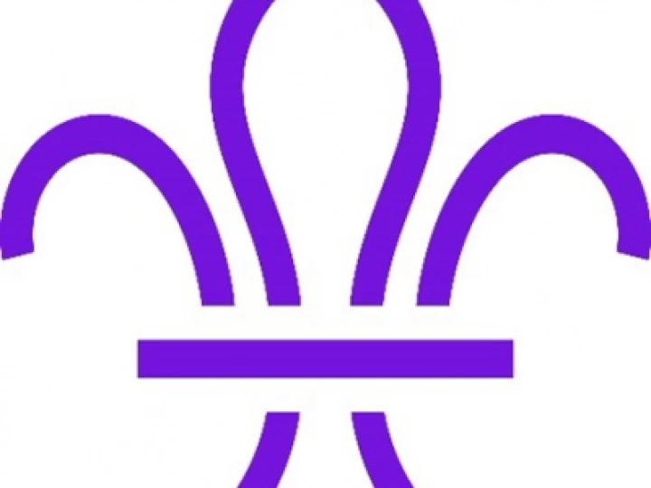 Scout Logo Picture1