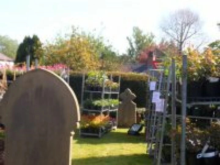 2014 Plant Sale