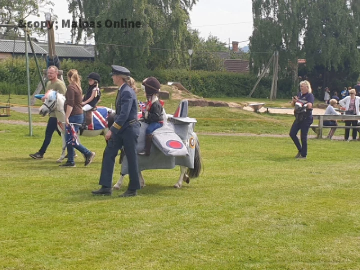 RAF Pony