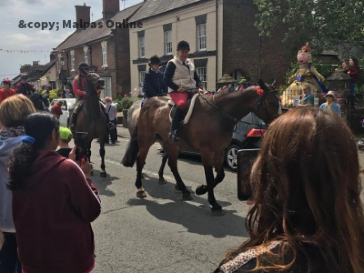 Horse 2