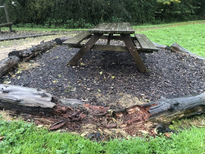 GreenPicnicAreaLogs