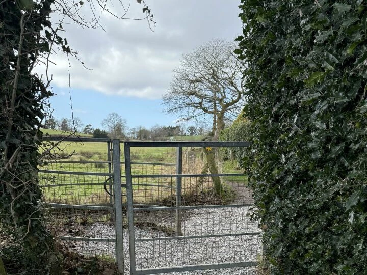 whirley footpath 2