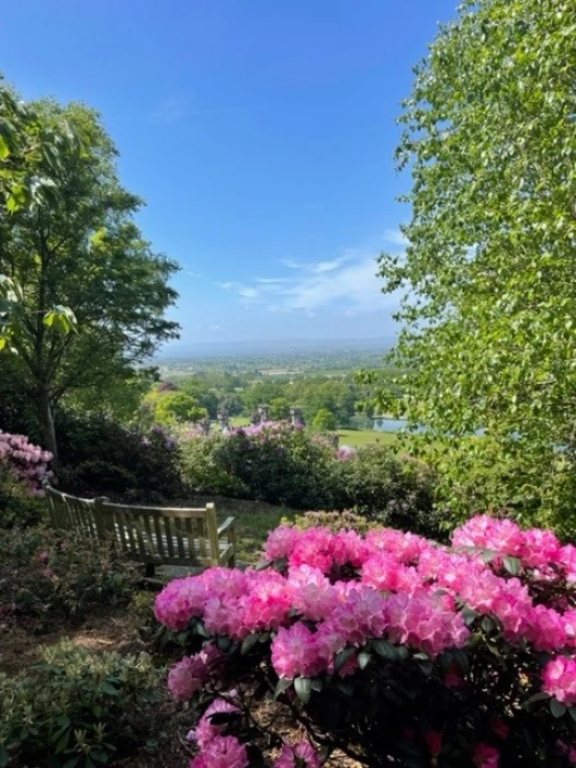 bolesworth rock walk with view
