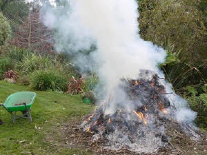 bonfire