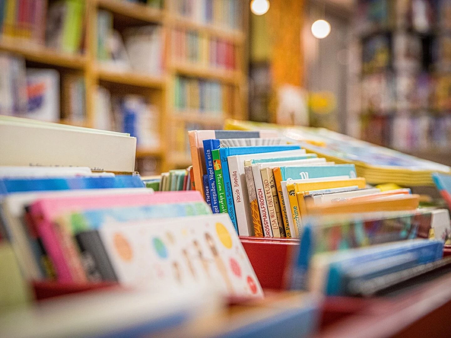 books library bookshelves bookstore literature information education study knowledge books library library library library library bookstore education education education study