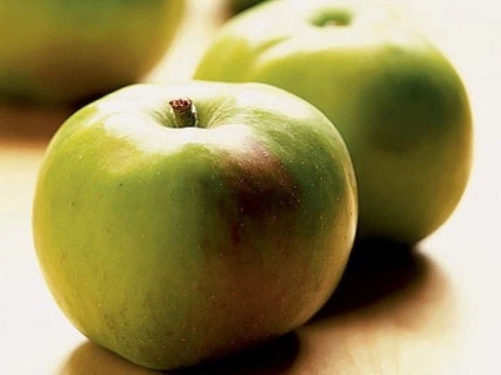 bramleyapplegfg