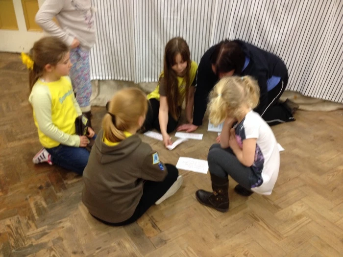 brownie group