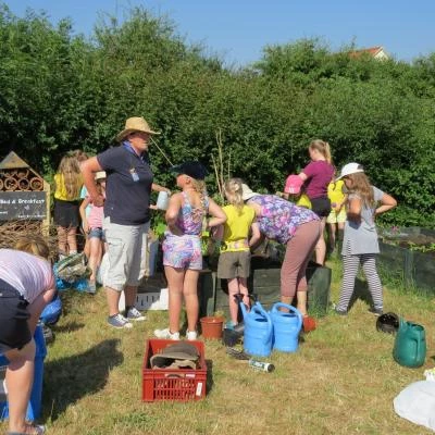 brownies allotment july 2018 7