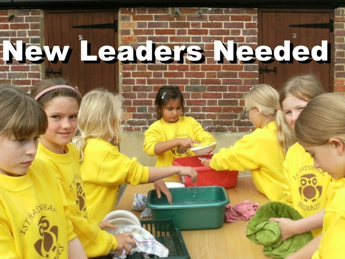 brownies need leaders